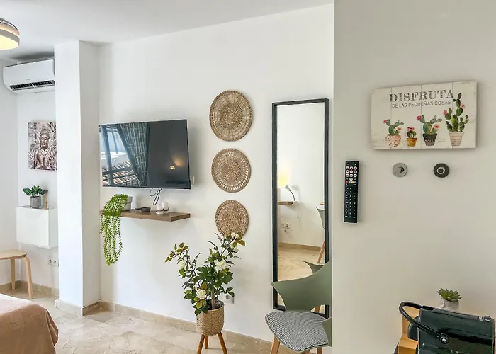 Hanami Estudio San Roque